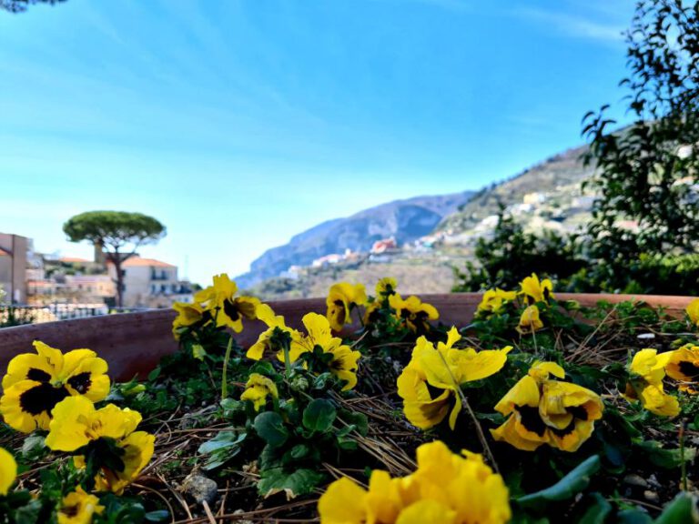 Recorrido por la costa de Amalfi: recorrido panorámico y visita a la ciudad