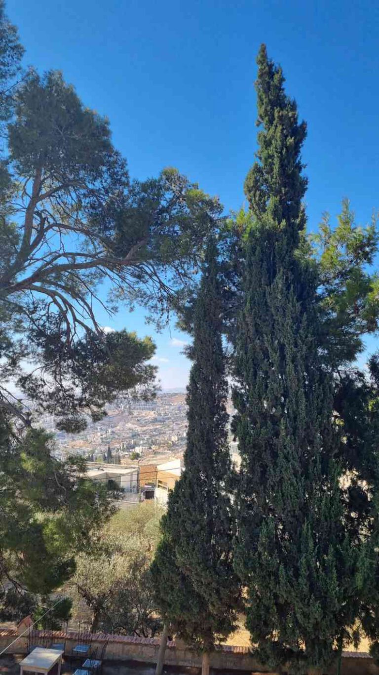 תצפית מתוך מנזר עלייה לשמיים- מתוך הסיור הארכיאולוגיה של המנזרים הרוסיים בהר הזיתים