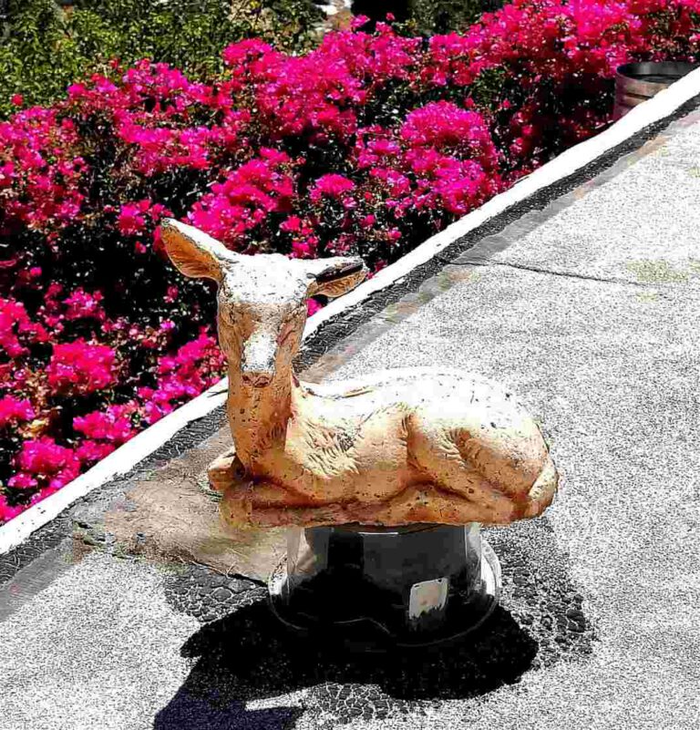 חצר המנזר מריה מגדלינה - מתוך הסיור הארכיאולוגיה של המנזרים הרוסיים בהר הזיתים