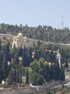 Tour of Ein Kerem – Pastoralism in the Village