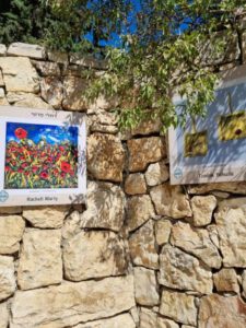 Tour of Ein Kerem – Pastoralism in the Village