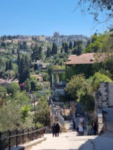 Tour of Ein Kerem – Pastoralism in the Village