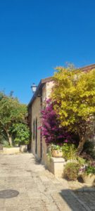 Tour de Mishkenot Sha'ananim y Yemin Moshe