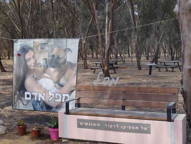 Gira por el Resurgimiento y Gaza