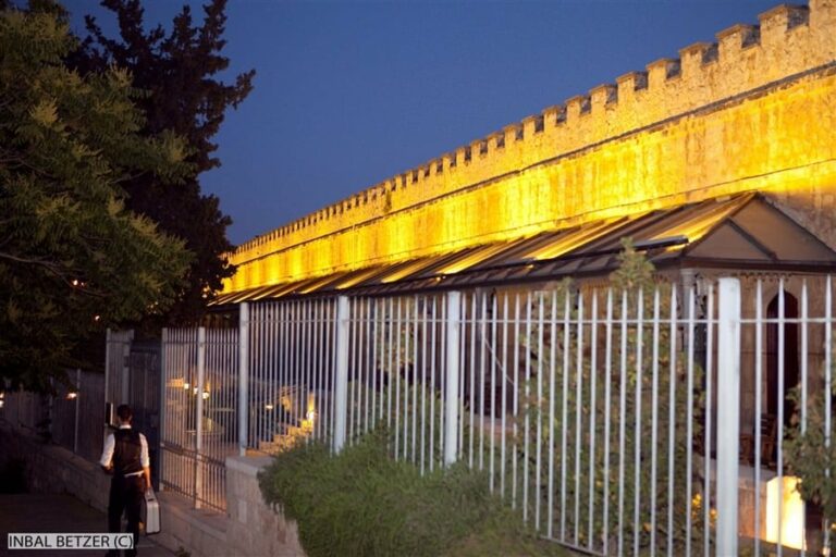 סיור במשכנות שאננים וימין משה עם שחקן