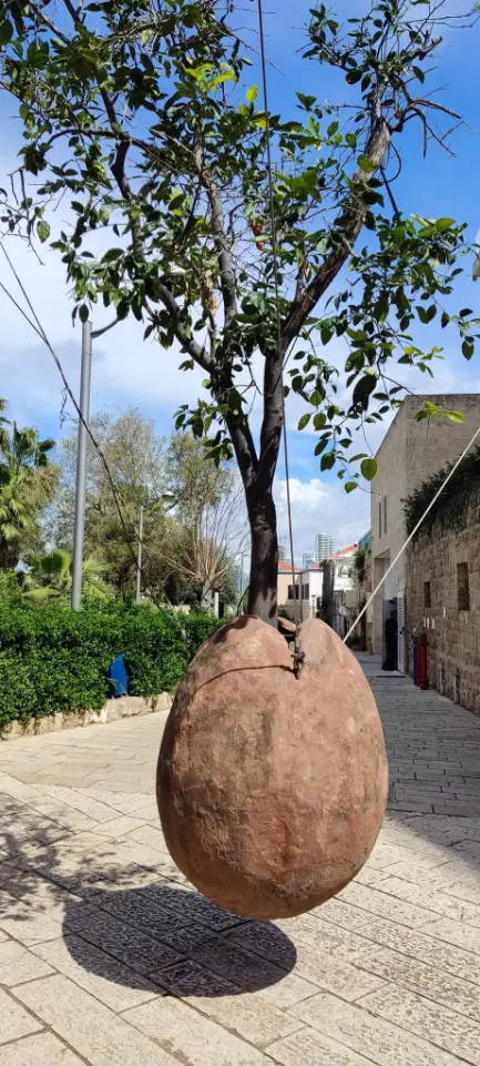 ההיסטוריה של יפו -מהקמתה ועד היום