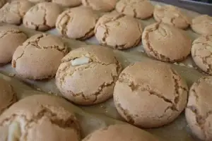 בין ניס לטריפולי – סיור של מטעמים וסיפורים בנתניה