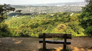 A trip to the Normapa Nature Reserve