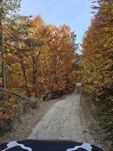 Excursión en jeep sin conductor - PARQUE NACIONAL DE PIRIN