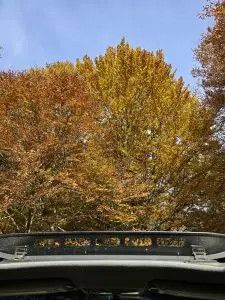 Excursión en jeep sin conductor - PARQUE NACIONAL DE PIRIN