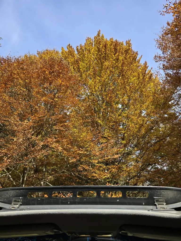 Excursión en jeep sin conductor - PARQUE NACIONAL DE PIRIN