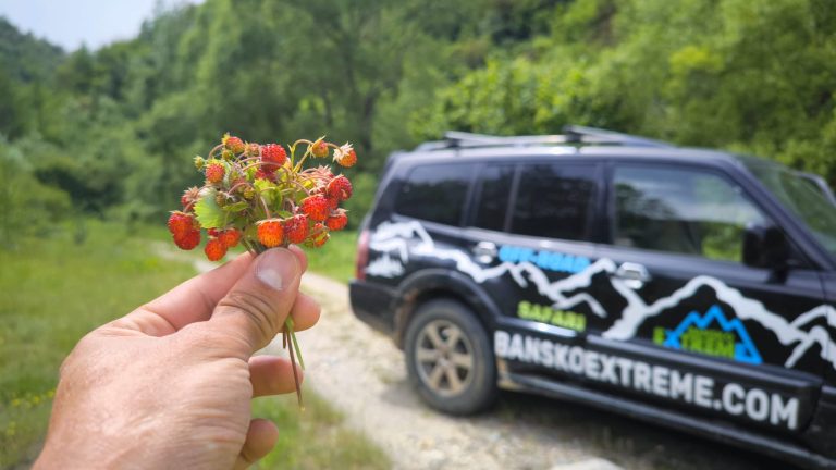 Excursión en jeep sin conductor - PARQUE NACIONAL DE PIRIN
