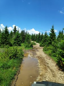 Excursión en jeep sin conductor - PARQUE NACIONAL DE PIRIN