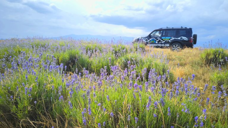 Excursión en jeep sin conductor - PARQUE NACIONAL DE PIRIN