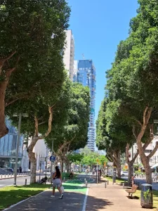 סיור אדריכלות במרכז עסקים ראשי - מע"ר - רוטשילד