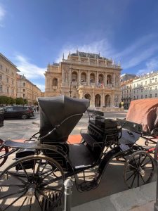 בודפשט גו - סיור מקיף במיניבוס - בודה + פשט
