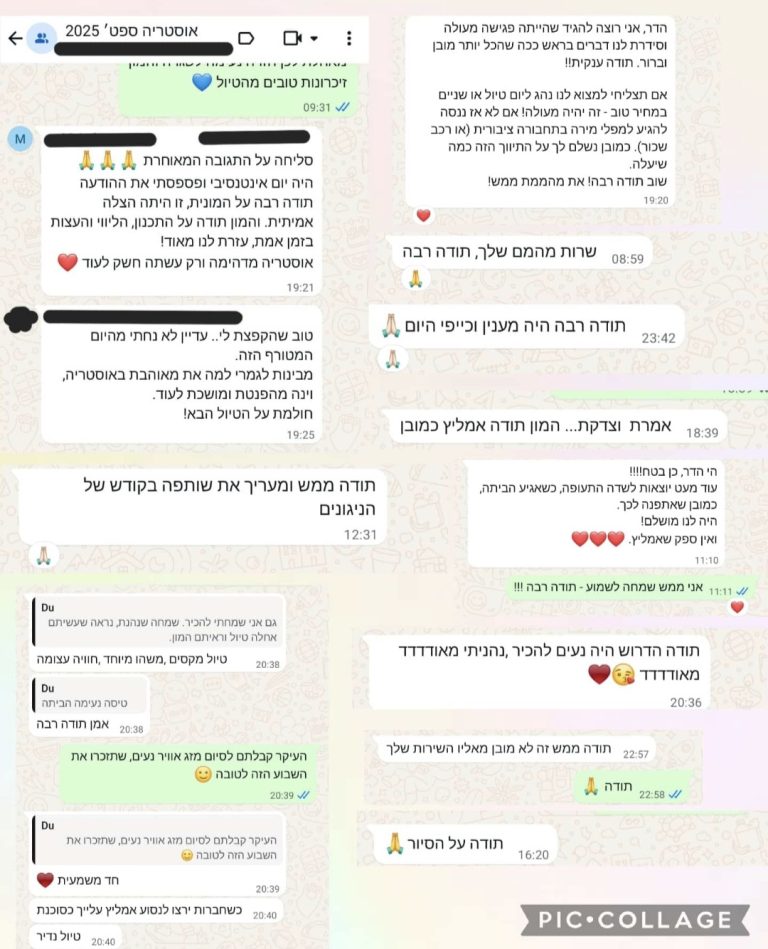 סיור היכרות אישית עם העיר העתיקה בוינה