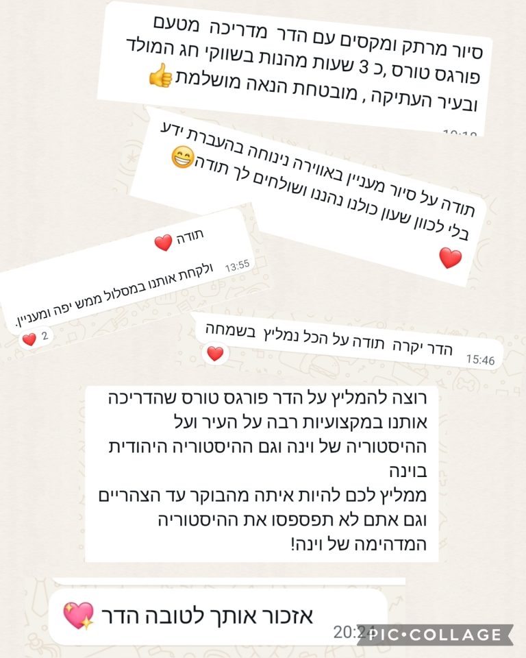 סיור היכרות אישית עם העיר העתיקה בוינה