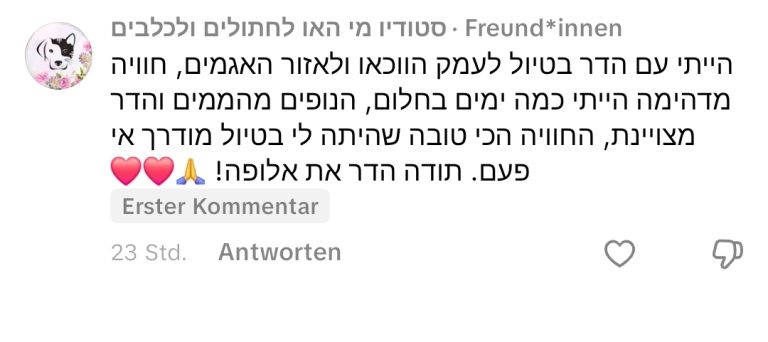 סיור היכרות אישית עם העיר העתיקה בוינה