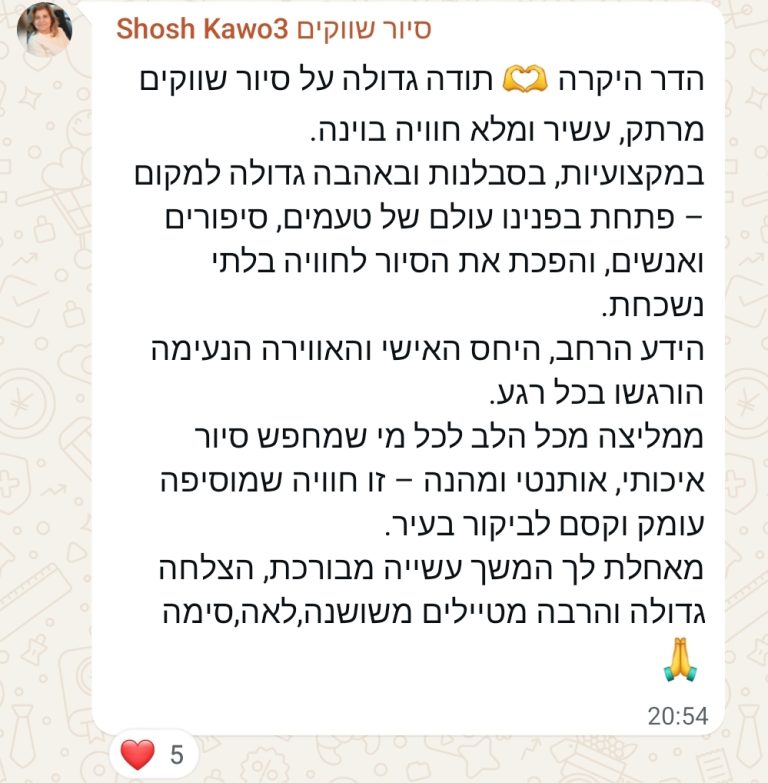 סיור היכרות אישית עם העיר העתיקה בוינה