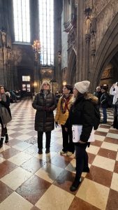 Visita guiada personalizada por el casco antiguo de Viena