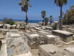 Recorrido por la ruta de la inmigración olvidada