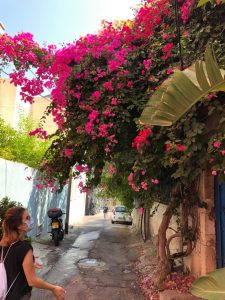 Tour of the fabric of life in the Ajami neighborhood - with a local guide