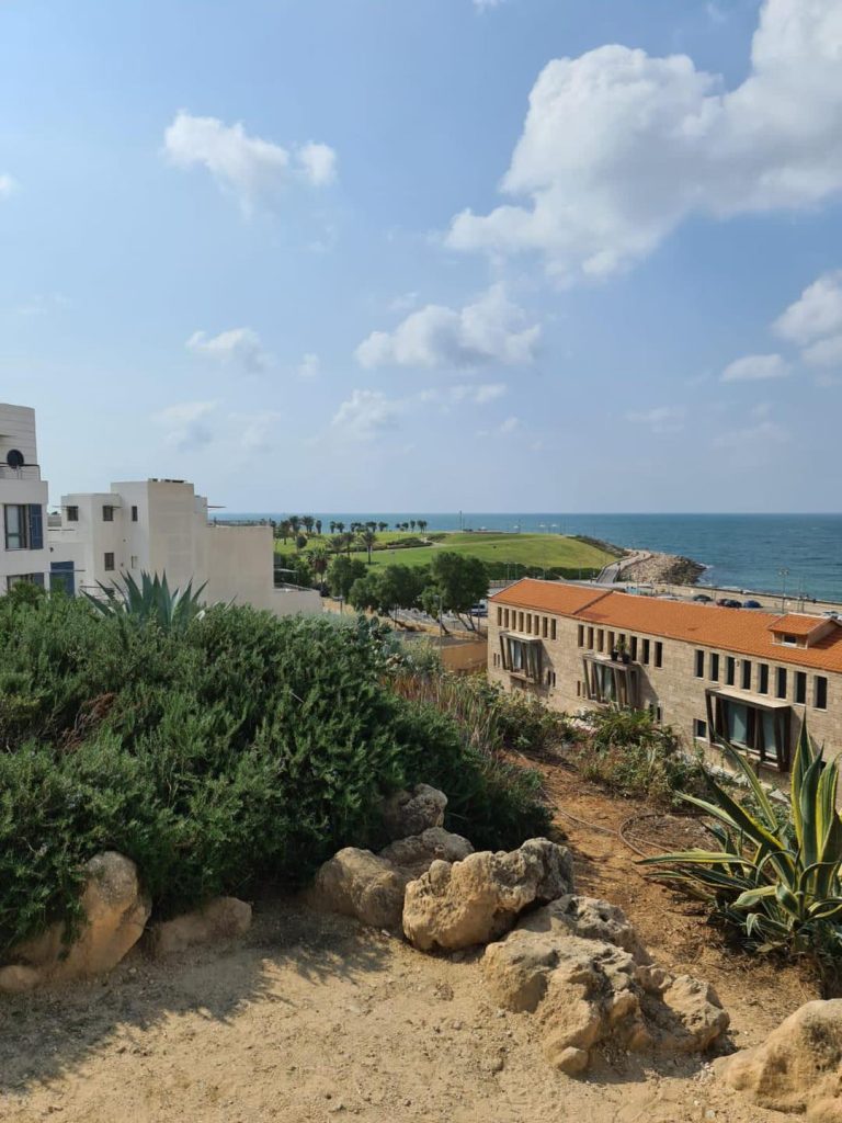 Tour of the fabric of life in the Ajami neighborhood - with a local guide