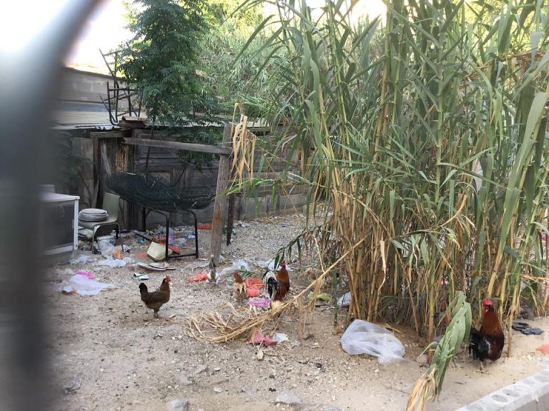 Tour of the fabric of life in the Ajami neighborhood - with a local guide