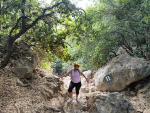 Foraging tour in the Carmel Mountains – embark on a culinary journey in nature