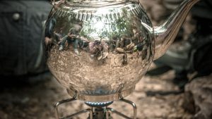 Foraging tour in the Carmel Mountains – embark on a culinary journey in nature