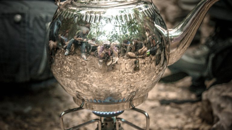 Foraging tour in the Carmel Mountains – embark on a culinary journey in nature