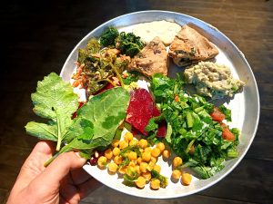 Foraging tour in the Carmel Mountains – embark on a culinary journey in nature