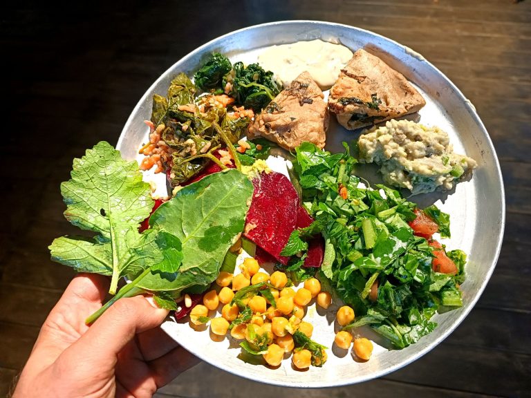 Foraging tour in the Carmel Mountains – embark on a culinary journey in nature