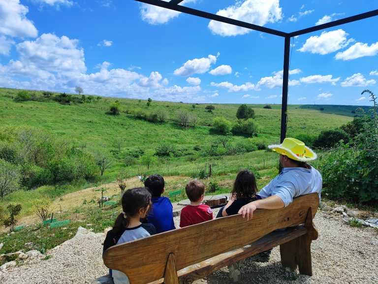 Foraging tour in the Carmel Mountains – embark on a culinary journey in nature