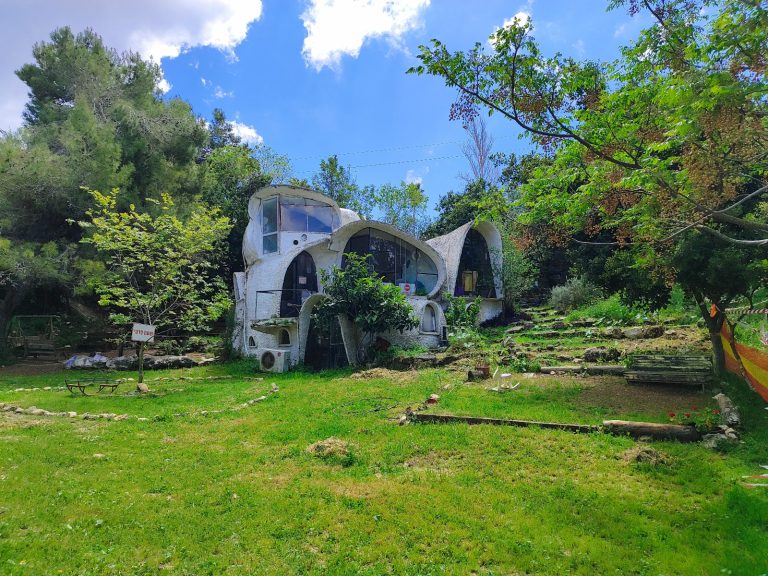 Foraging tour in the Carmel Mountains – embark on a culinary journey in nature