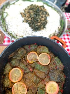 Foraging tour in the Carmel Mountains – embark on a culinary journey in nature