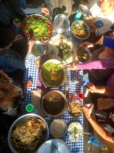 Foraging tour in the Carmel Mountains – embark on a culinary journey in nature