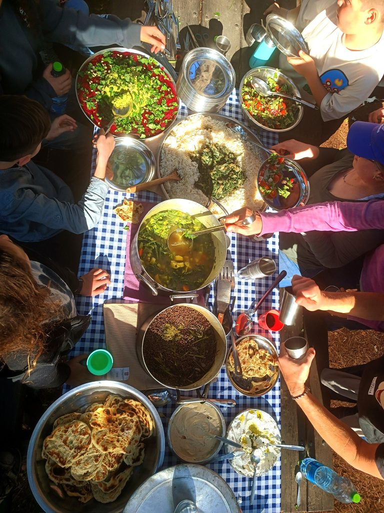 סיור ליקוט בכרמל - יוצאים למסע קולינרי בטבע
