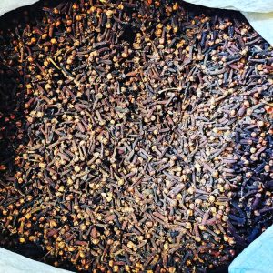 Tour gastronómico por Acre | Ambiente mediterráneo animado y colorido