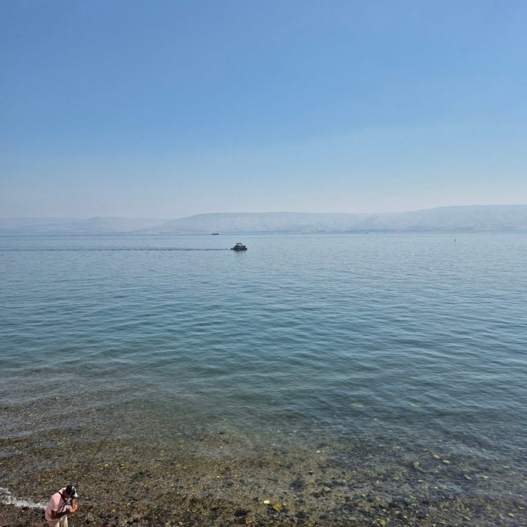 סיור קולינרי בטבריה - קסם על ים כנרת