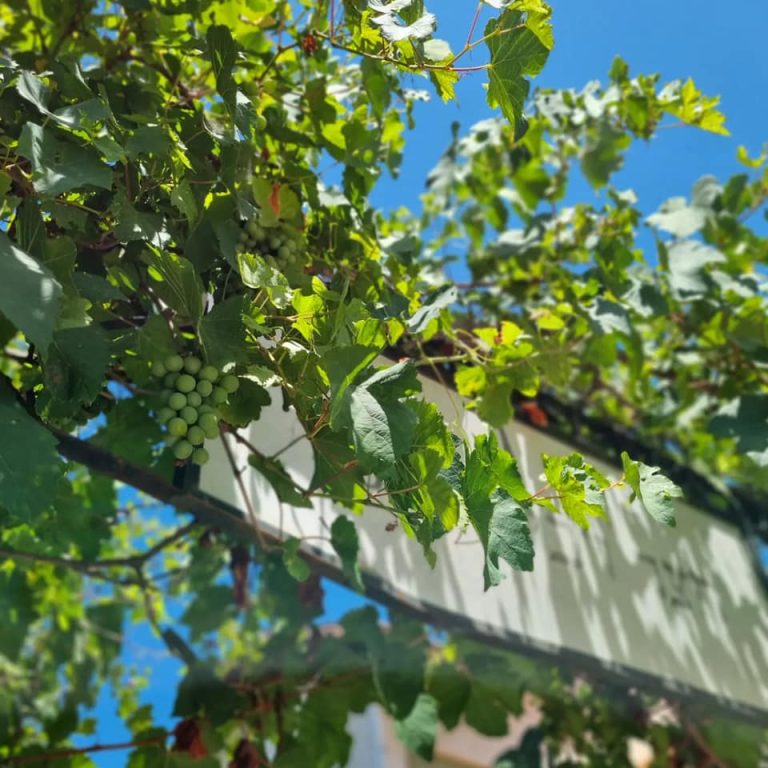 Recorrido culinario por Zichron Yaakov | Renovación culinaria en la antigua colonia