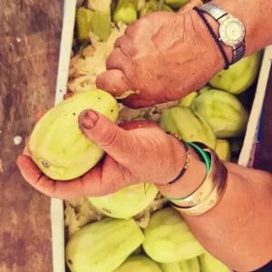 Recorrido culinario por Wadi Nisnas: delicias auténticas