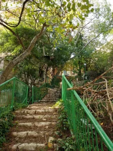 סיור במרכז הכרמל - שכונת בתי הקיץ של הגרמנים הטמפלרים