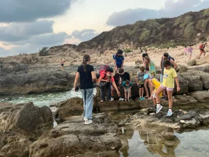 סיור שקיעה ועששיות בחוף דור