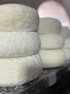 סיור קולינרי בצפת - קסם בסמטאות העיר העתיקה