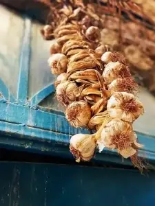 סיור קולינרי בצפת - קסם בסמטאות העיר העתיקה