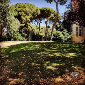 סיור במרכז הכרמל – שכונת בתי הקיץ של הגרמנים הטמפלרים