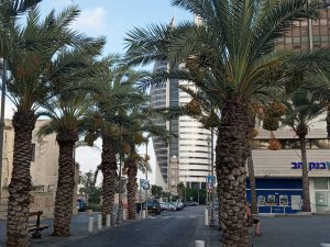 Recorrido cultural por el Carmelo, en Haifa y Isfiya