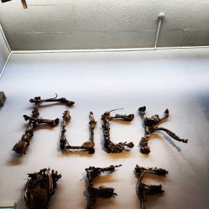 סיור צורפות, קרמיקה ואופנה בעין הוד